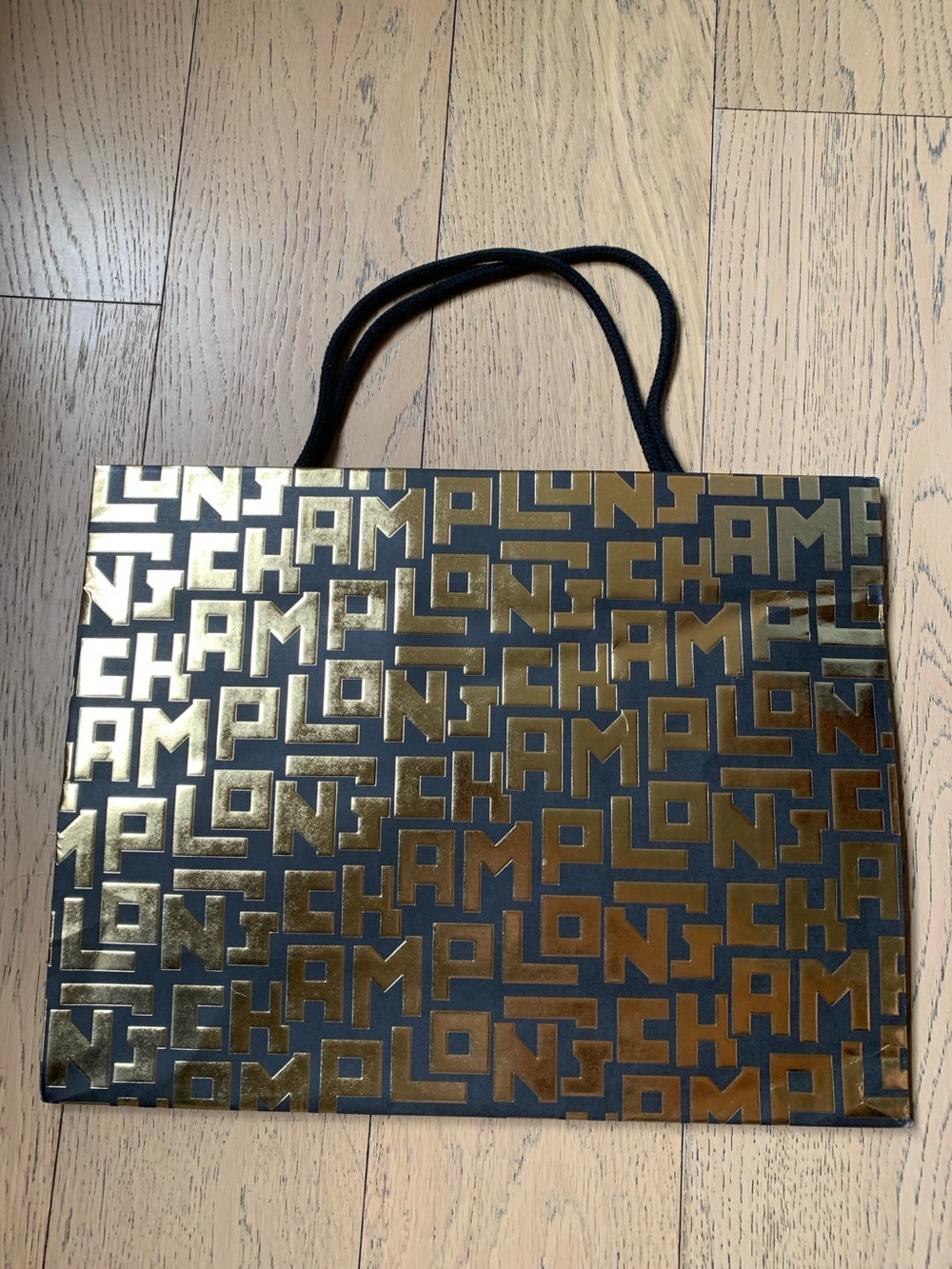 3 Longchamp Paper Shopping Bags and 1 small Dust bag
